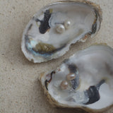 Mutiara Marfil Earrings